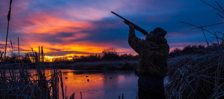 Opinion: You can take 'duck hunters' at face value -- but fancy words hide the truth