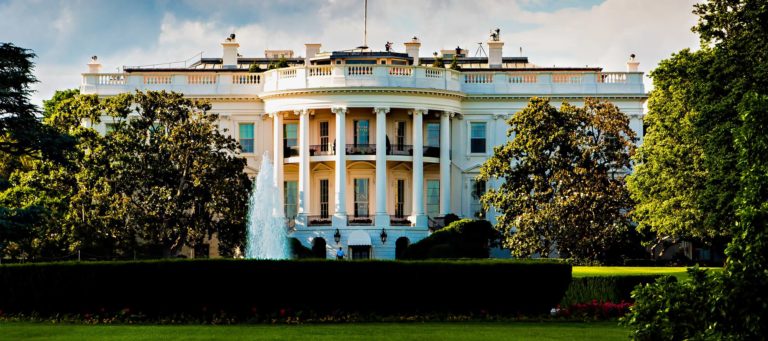 Who in real estate should run for US president?