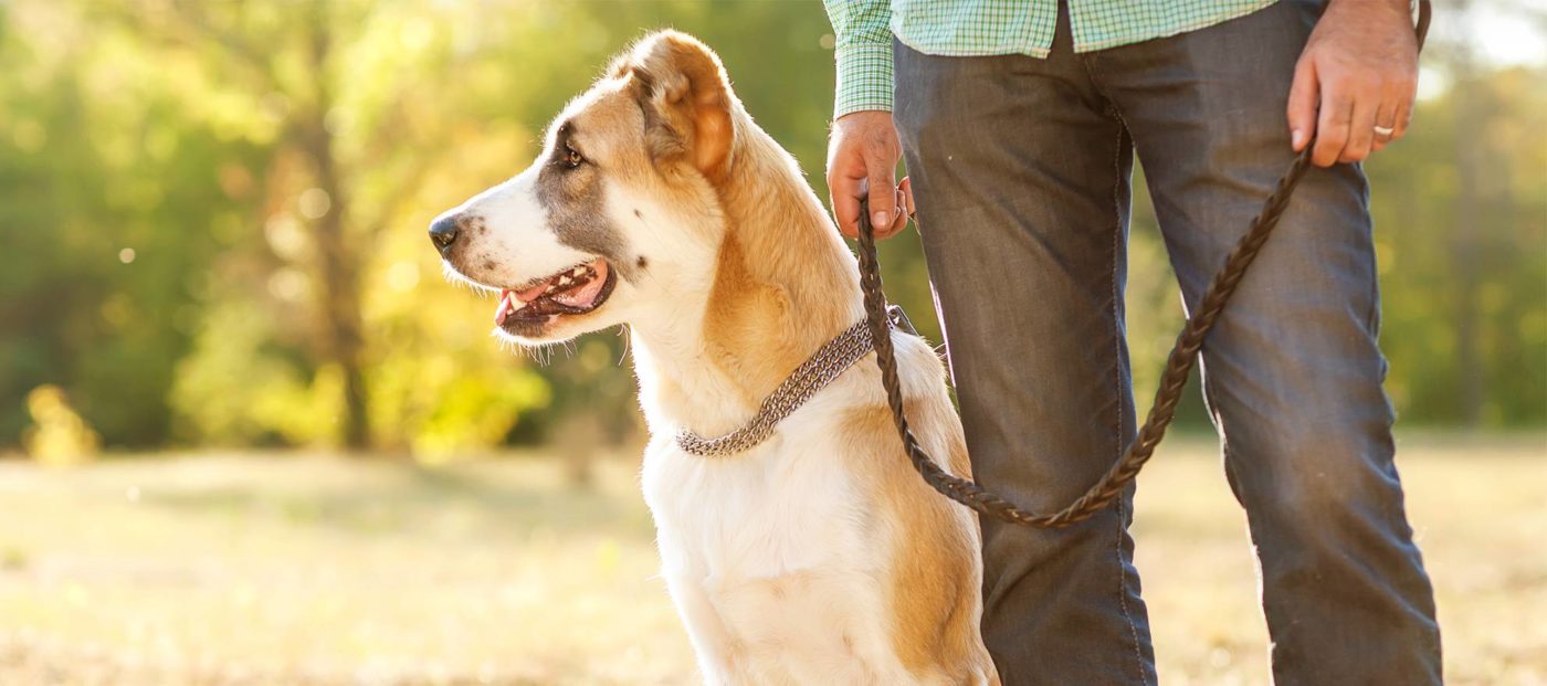 2 Crucial Things I've Learned About Loyalty In Real Estate Inman