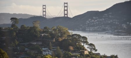 Community Profile: Tiburon