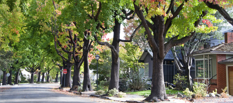 How high will homebuyers go?