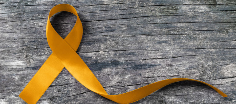 How real estate is benefiting St. Jude Children's Research Hospital
