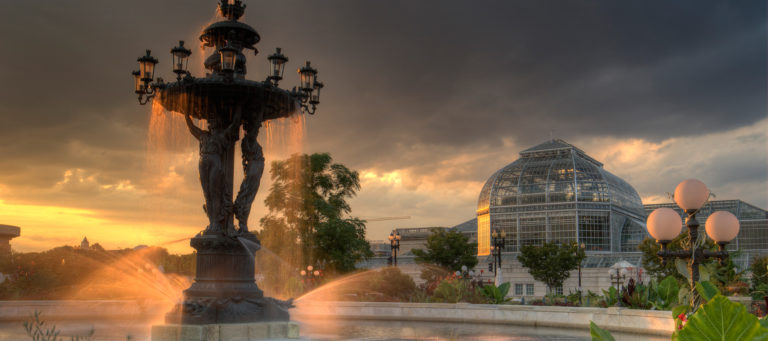 DC in a week: July 4-8