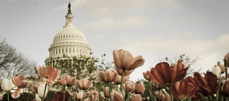 Where are the nation's most expensive places to live?