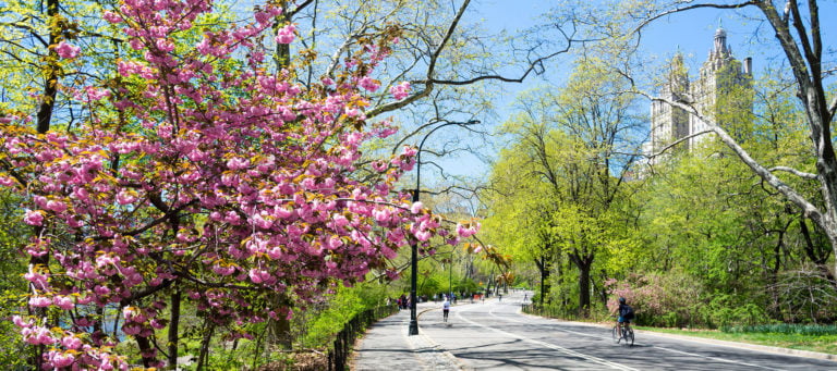 5 ways to dominate your spring real estate market
