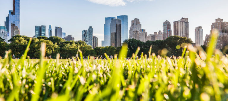 New York in a week: Aug 8-12