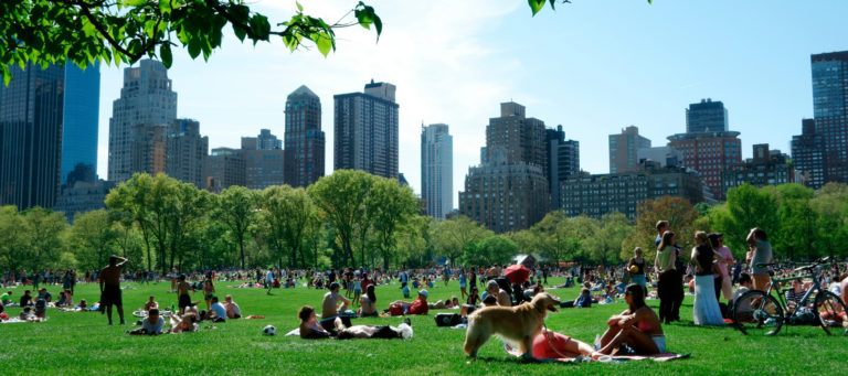 New York in a week: Sept 12-16