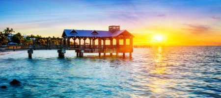 South Florida in a week: Aug 1-5
