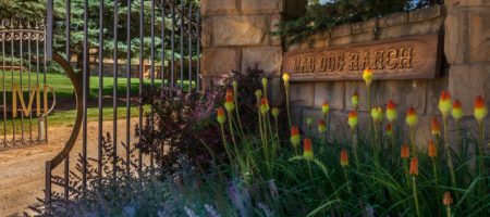 Luxury listing: Joe Cocker estate
