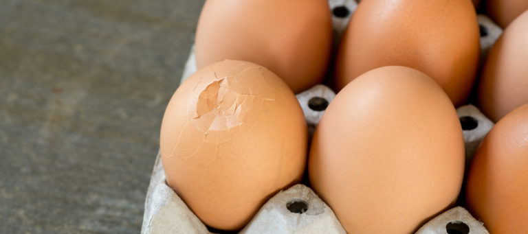 Trelora CEO tells regulators: we've been egged and harassed for our innovation