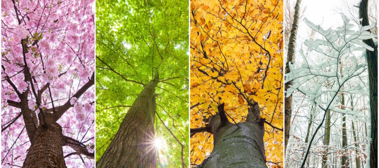 Which season is prime time for homeselling?