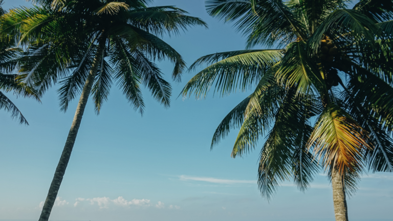 Back from vacay? Jump start your summer prospecting