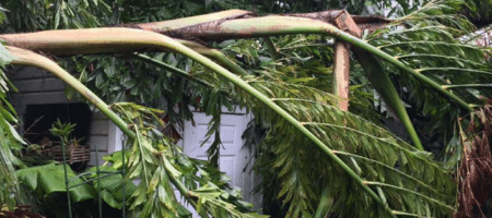 Irma spared some islands in Florida Keys and savaged others