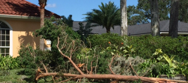 Agents survey damage and new business in Irma-ravaged Jacksonville