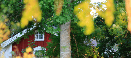 A month in review: The September housing market