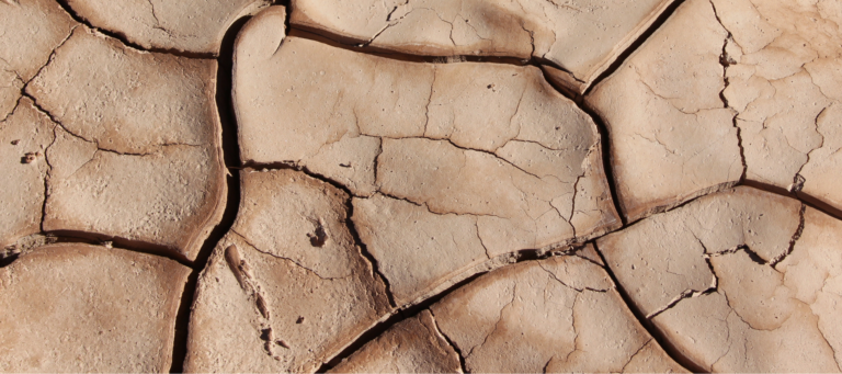 What does Upstream have to show for itself?