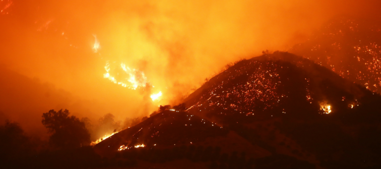 SoCal Realtors help clients, save animals as wildfires rage
