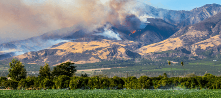 The latest from the Southern California wildfires