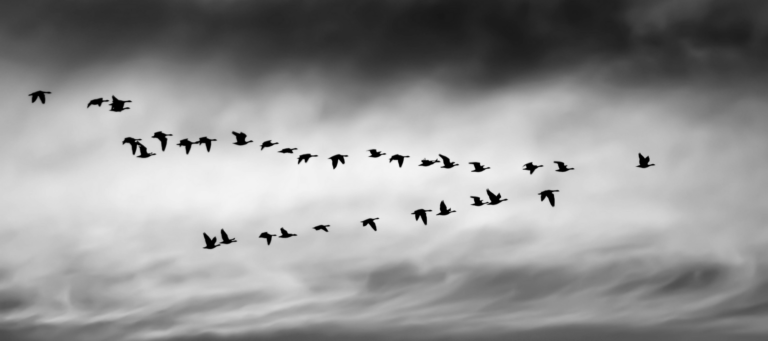 7 things real estate leaders should never do