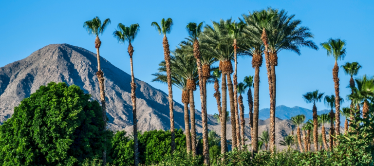 Real estate leaders gear up for radical meeting in the desert