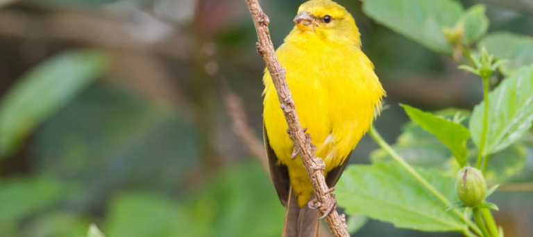 HouseCanary wins $706M after getting sued by Quicken Loans affiliate