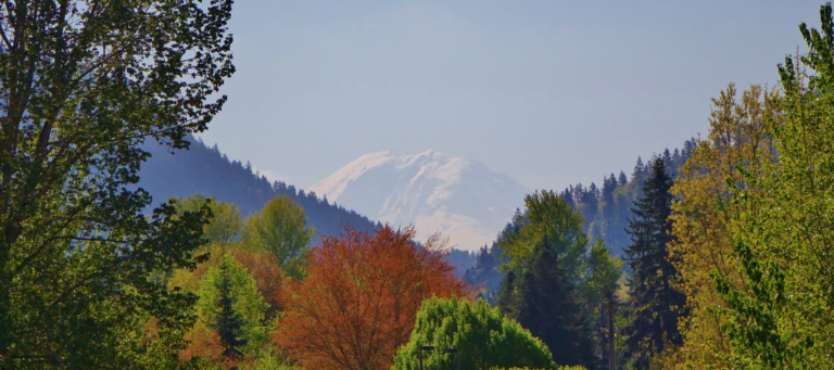 Indie brokerage in Washington state joins Better Homes and Gardens Real Estate