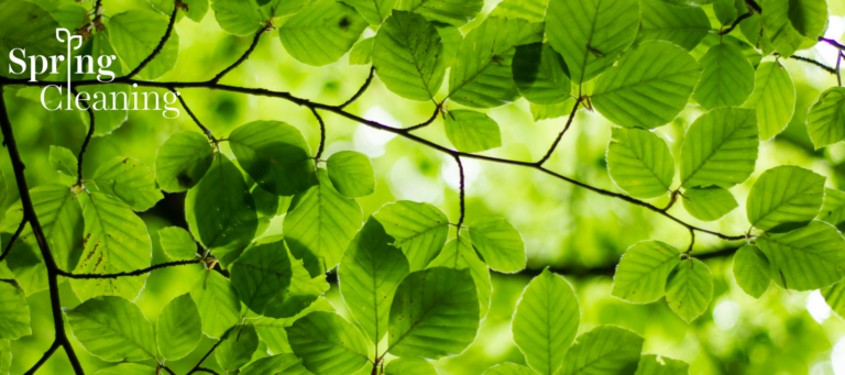 6 tips to make your spring listing look, feel and smell as fresh as the season