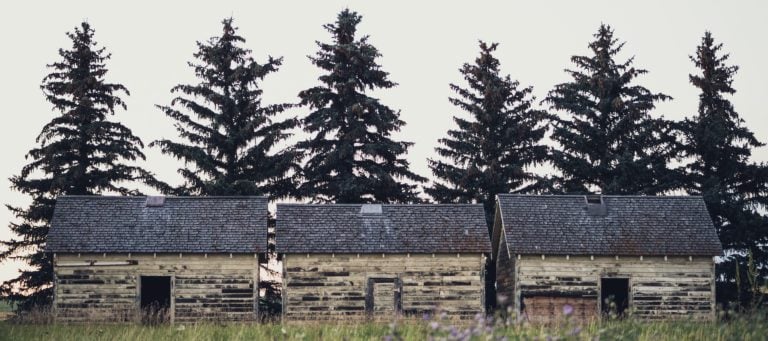 Delinquency and foreclosure rates remain steady: CoreLogic