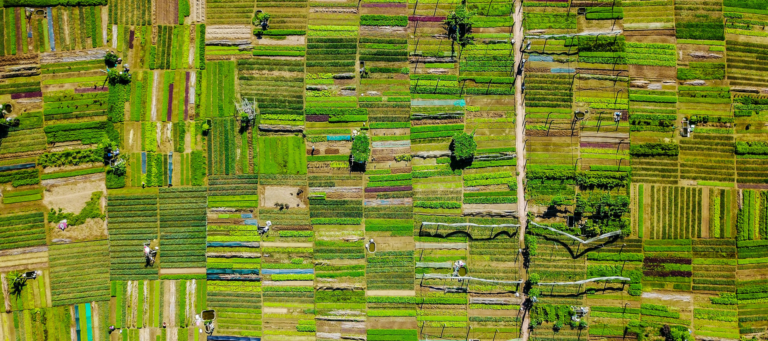 How real estate (and beer) can help save our dying planet
