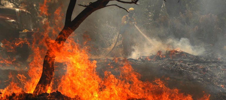 How can the real estate industry help wildfire victims in California?