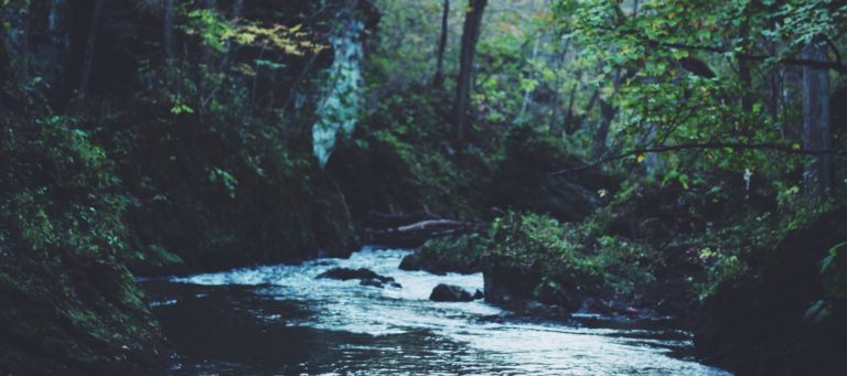 NAR seeks to reassure members that Upstream isn't trying to replace MLSs