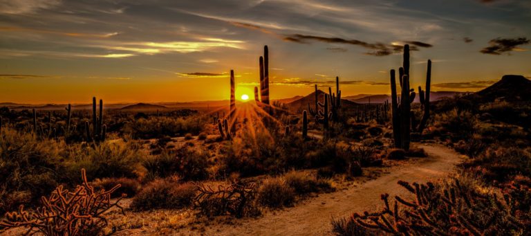 Rent in southwestern region rising fast: CoreLogic