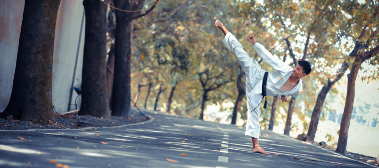 Keller Williams' AI assistant Kelle is learning Kung-Fu