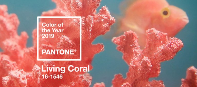 What do you think of Pantone's Color of the Year 2019?