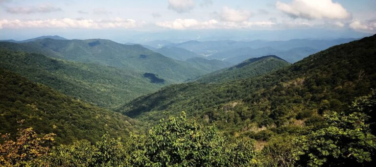 Tennessee's largest MLS sets its sights on going statewide