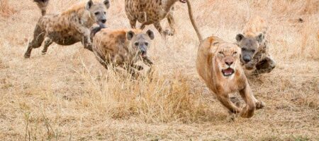 Stop chasing better splits! It's your net that truly matters