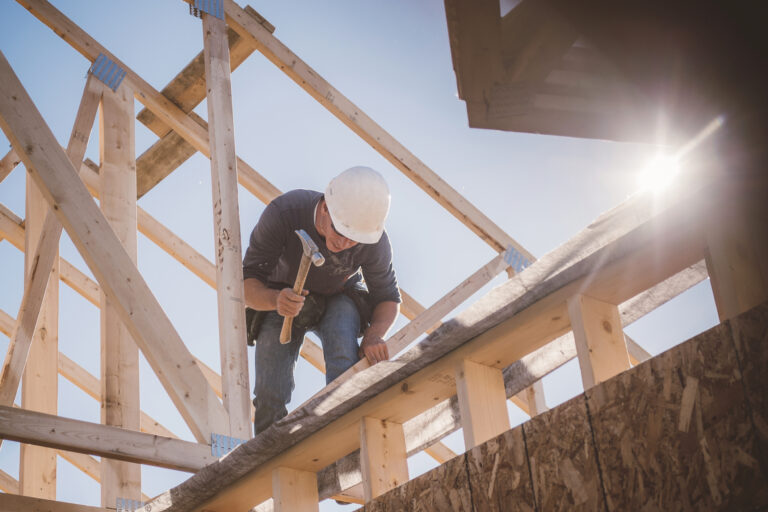 Statewide single-family zoning reform gets canned in Virginia
