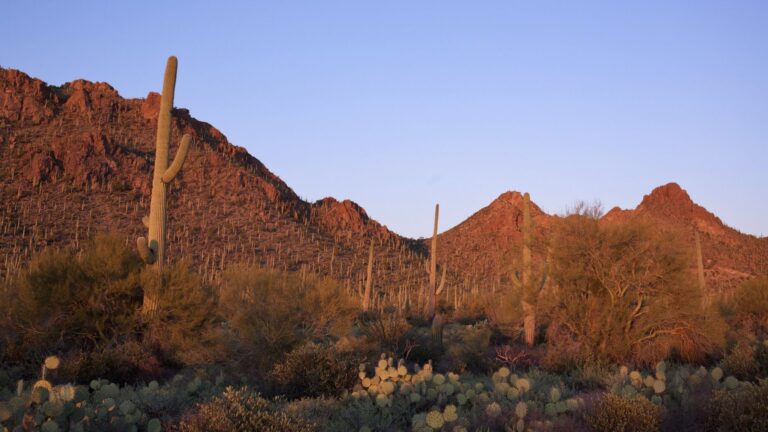 Zillow Offers returns to its birthplace for expansion in Arizona