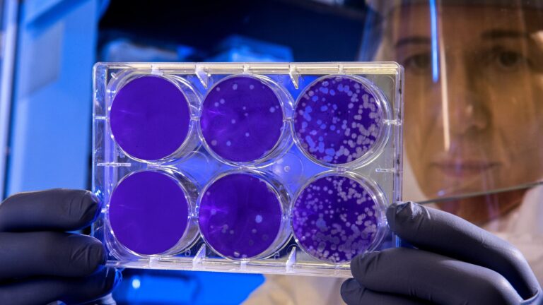 Would you live in a house made from living bacteria?