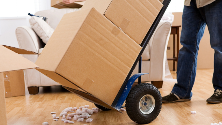56% of renters still plan to move despite ongoing pandemic