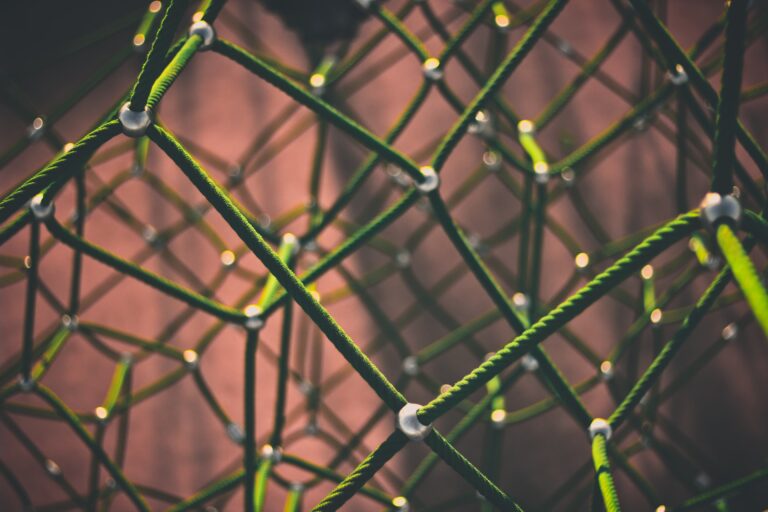 CNipIT doesn't let web leads leave