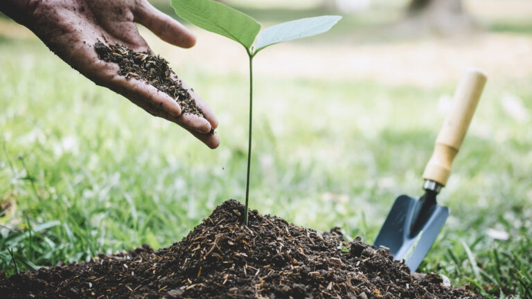 Here's how to help jump-start your local economy