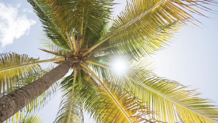 Why can’t Florida agents agree to serve as fiduciaries? Watchdog responds