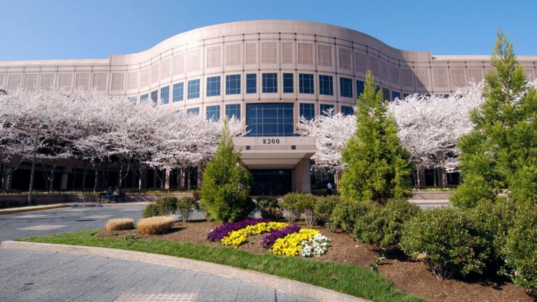 Low interest rates drive Freddie Mac new business up 162%