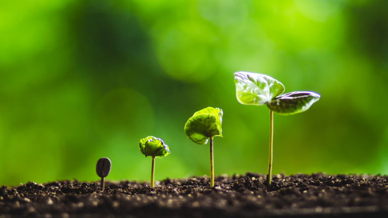 7 real estate lessons for growth by John Maxwell