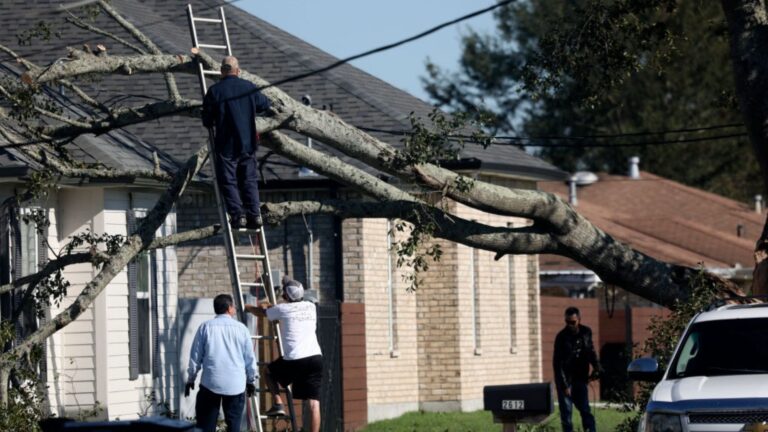 Losses from Hurricane Zeta wind and storm surge could reach $4B