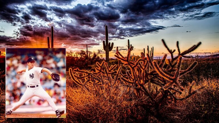 Former MLB pitcher steps up to the plate at Engel & Völkers