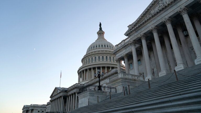 National Association of Realtors names new political head