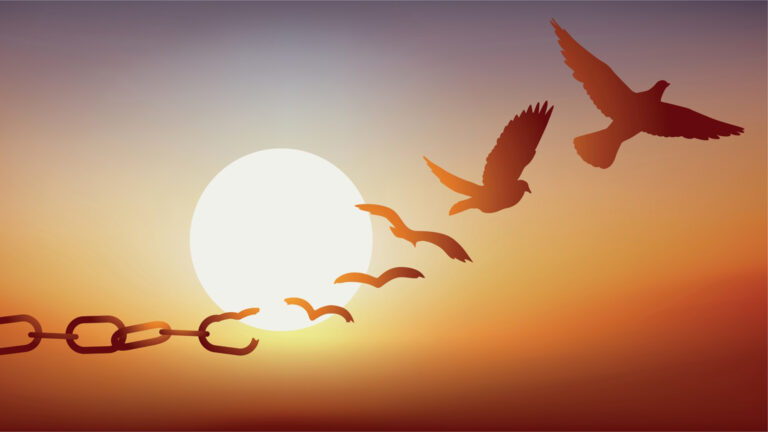 How top teams set themselves free!