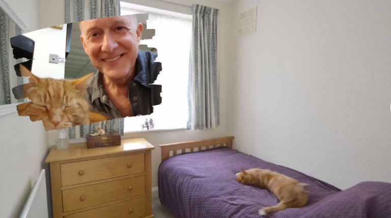 'That's our bloody cat': Man finds missing feline in a listing photo